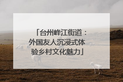 台州峰江街道：外国友人沉浸式体验乡村文化魅力