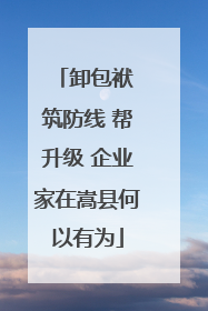 卸包袱 筑防线 帮升级 企业家在嵩县何以有为