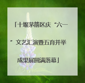 十堰茅箭区庆“六一”文艺汇演暨五育并举成果展圆满落幕