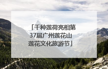 千种莲荷亮相第37届广州莲花山莲花文化旅游节