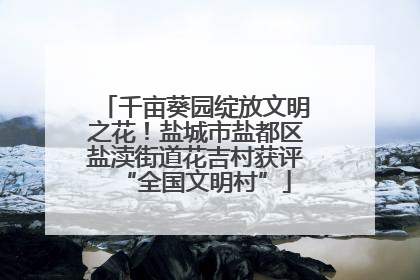 千亩葵园绽放文明之花！盐城市盐都区盐渎街道花吉村获评“全国文明村”