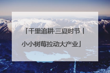千里追耕·三夏时节丨小小树莓拉动大产业