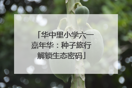 华中里小学六一嘉年华：种子旅行解锁生态密码