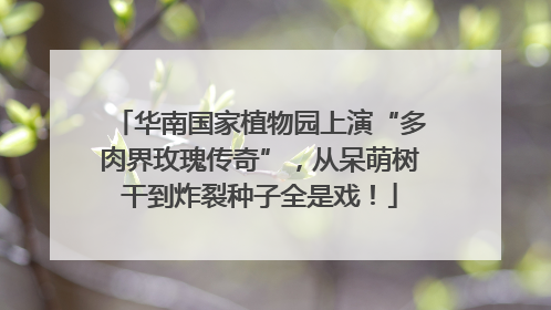 华南国家植物园上演“多肉界玫瑰传奇”，从呆萌树干到炸裂种子全是戏！