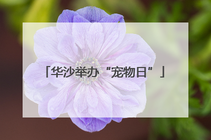 华沙举办“宠物日”
