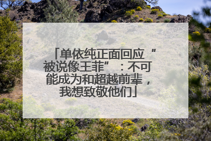 单依纯正面回应“被说像王菲”：不可能成为和超越前辈，我想致敬他们