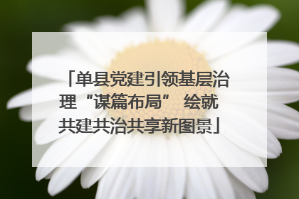单县党建引领基层治理“谋篇布局” 绘就共建共治共享新图景