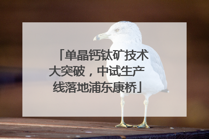 单晶钙钛矿技术大突破，中试生产线落地浦东康桥