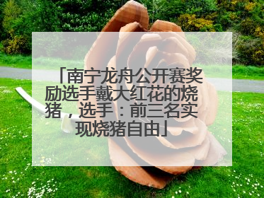 南宁龙舟公开赛奖励选手戴大红花的烧猪，选手：前三名实现烧猪自由