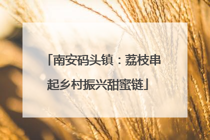 南安码头镇：荔枝串起乡村振兴甜蜜链