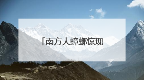 南方大蟑螂惊现北京居民家中