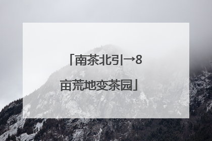 南茶北引→8亩荒地变茶园