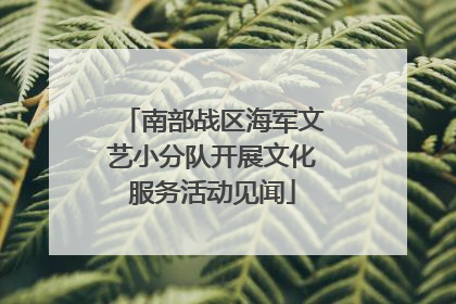 南部战区海军文艺小分队开展文化服务活动见闻