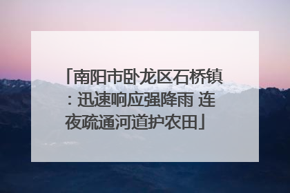 南阳市卧龙区石桥镇：迅速响应强降雨 连夜疏通河道护农田