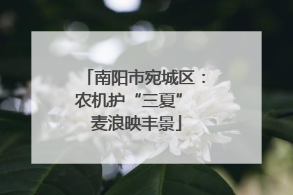南阳市宛城区：农机护“三夏” 麦浪映丰景