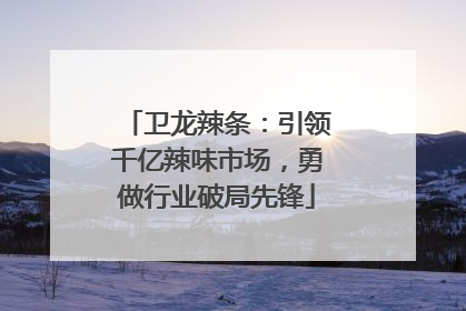 卫龙辣条：引领千亿辣味市场，勇做行业破局先锋