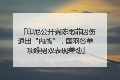 印尼公开赛陈雨菲因伤退出“内战”，国羽各单项唯男双表现差劲