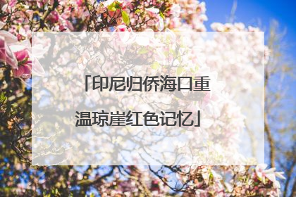 印尼归侨海口重温琼崖红色记忆