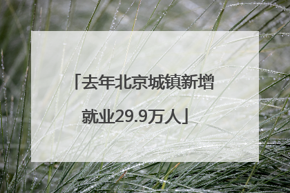 去年北京城镇新增就业29.9万人