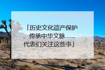 历史文化遗产保护、传承中华文脉……代表们关注这些事