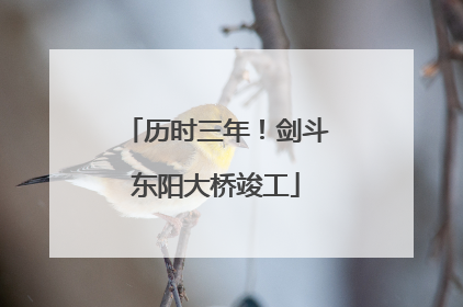 历时三年！剑斗东阳大桥竣工