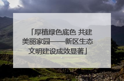 厚植绿色底色 共建美丽家园——新区生态文明建设成效显著