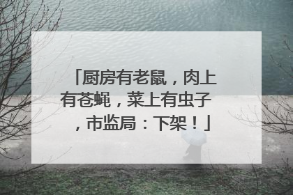 厨房有老鼠，肉上有苍蝇，菜上有虫子，市监局：下架！