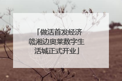 做活首发经济 赣湘边奥莱数字生活城正式开业