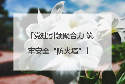 党建引领聚合力 筑牢安全“防火墙”