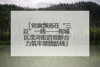 党旗飘扬在“三夏”一线——宛城区溧河街道党群合力筑牢禁烧防线