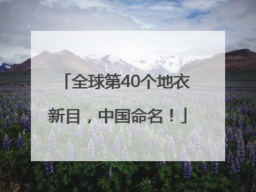 全球第40个地衣新目，中国命名！