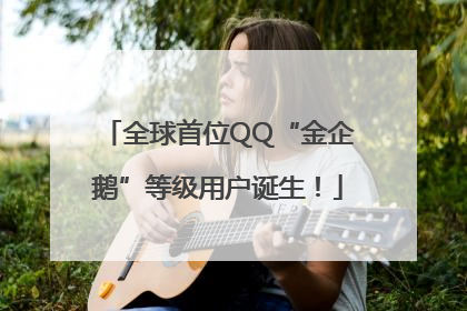 全球首位QQ“金企鹅”等级用户诞生！