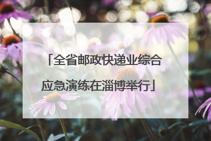 全省邮政快递业综合应急演练在淄博举行