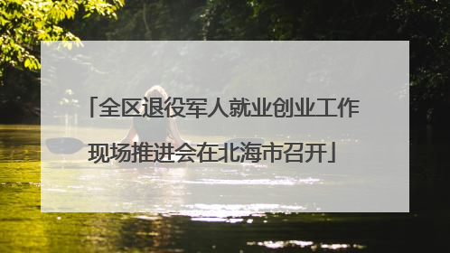 全区退役军人就业创业工作现场推进会在北海市召开