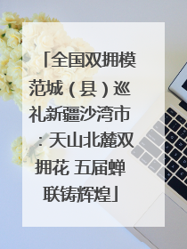 全国双拥模范城（县）巡礼新疆沙湾市：天山北麓双拥花 五届蝉联铸辉煌