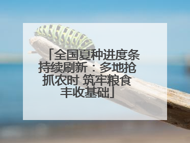 全国夏种进度条持续刷新：多地抢抓农时 筑牢粮食丰收基础