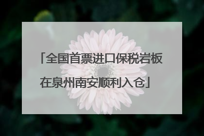 全国首票进口保税岩板在泉州南安顺利入仓