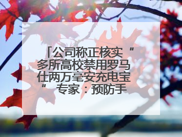 公司称正核实“多所高校禁用罗马仕两万毫安充电宝” 专家：预防手机没电选中等体积产品即可
