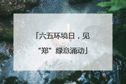 六五环境日，见“郑”绿意涌动
