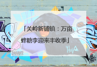 关岭新铺镇：万亩蜂糖李迎来丰收季