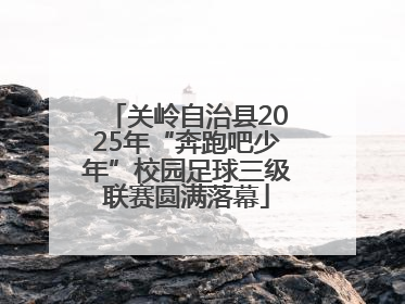 关岭自治县2025年“奔跑吧少年”校园足球三级联赛圆满落幕