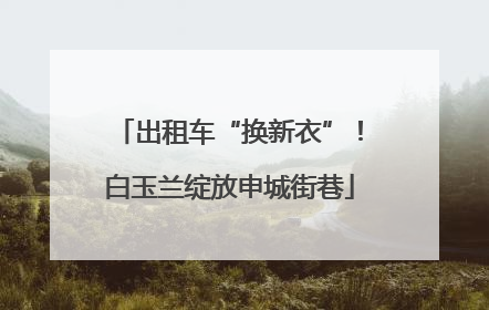出租车“换新衣”！白玉兰绽放申城街巷