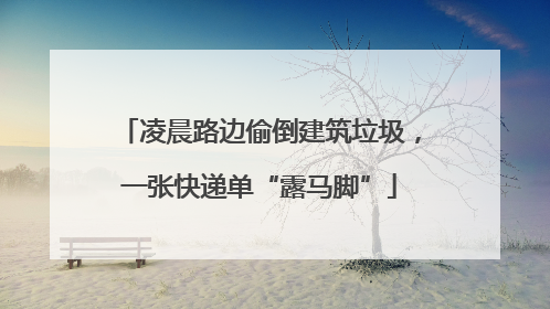 凌晨路边偷倒建筑垃圾，一张快递单“露马脚”