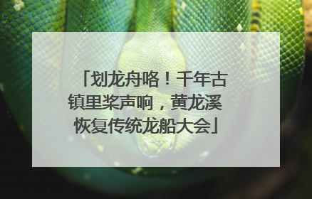 划龙舟咯！千年古镇里桨声响，黄龙溪恢复传统龙船大会