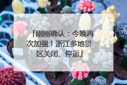 刚刚确认：今晚再次加强！浙江多地景区关闭、停运