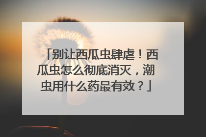 别让西瓜虫肆虐！西瓜虫怎么彻底消灭，潮虫用什么药最有效？