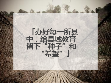 办好每一所县中，给县域教育留下“种子”和“希望”