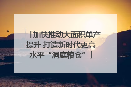 加快推动大面积单产提升 打造新时代更高水平“洞庭粮仓”