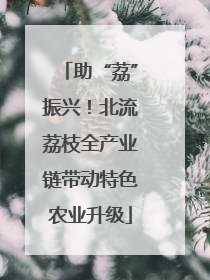 助“荔”振兴！北流荔枝全产业链带动特色农业升级