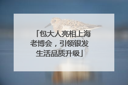 包大人亮相上海老博会，引领银发生活品质升级